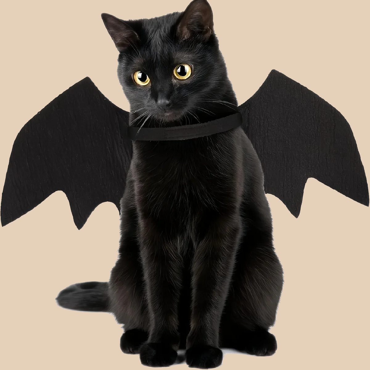 Halloween Special