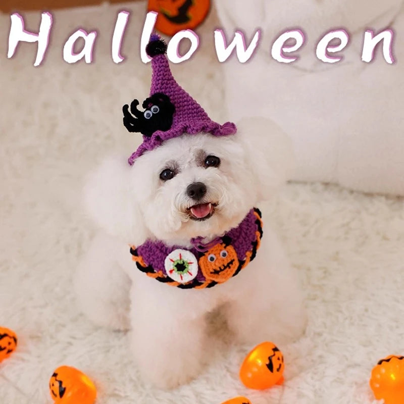 Crochet Pumpkin Witch Hat Halloween Pet Collar
