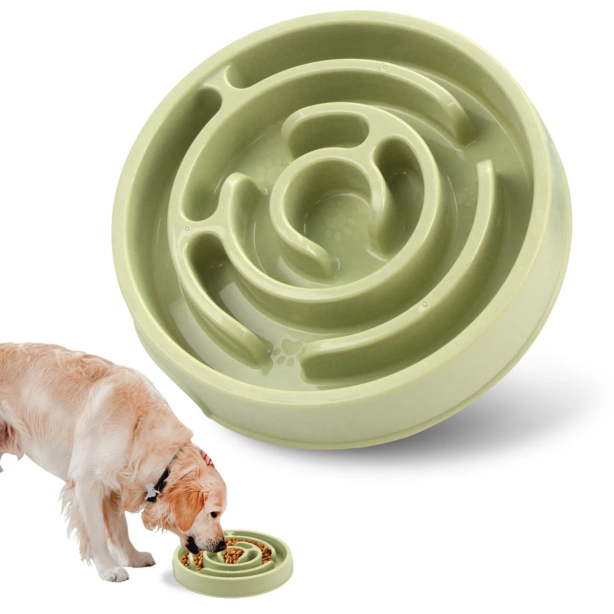 Non-Slip Slow Feeder Bowl for Cats & Dogs