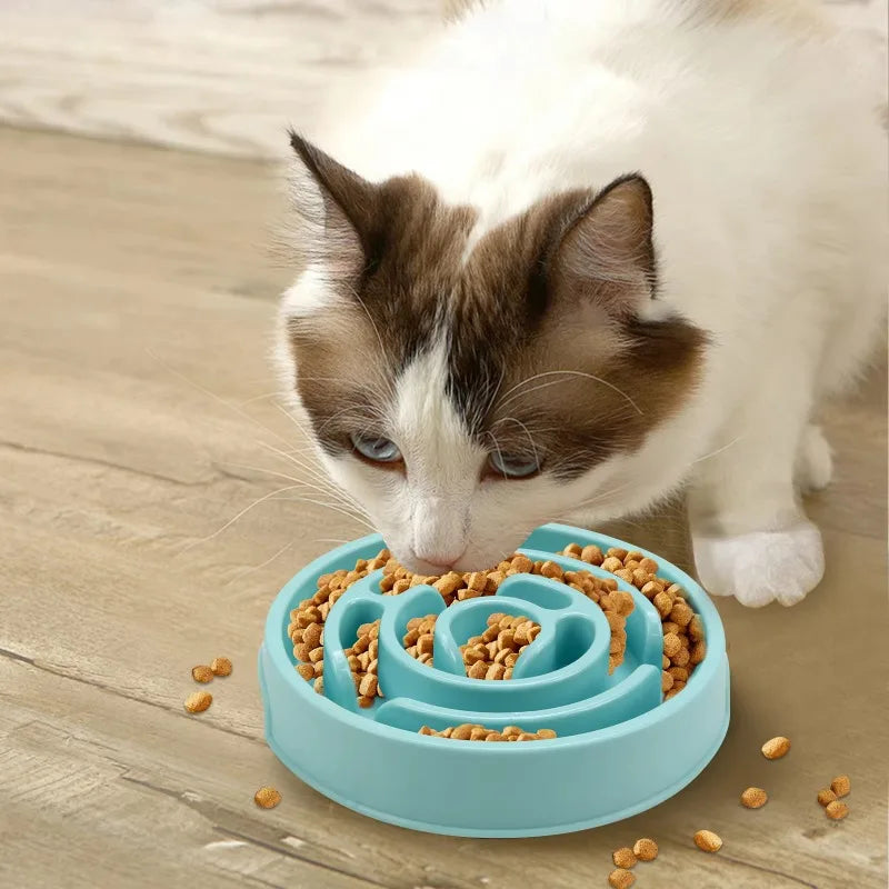 Non-Slip Slow Feeder Bowl for Cats & Dogs