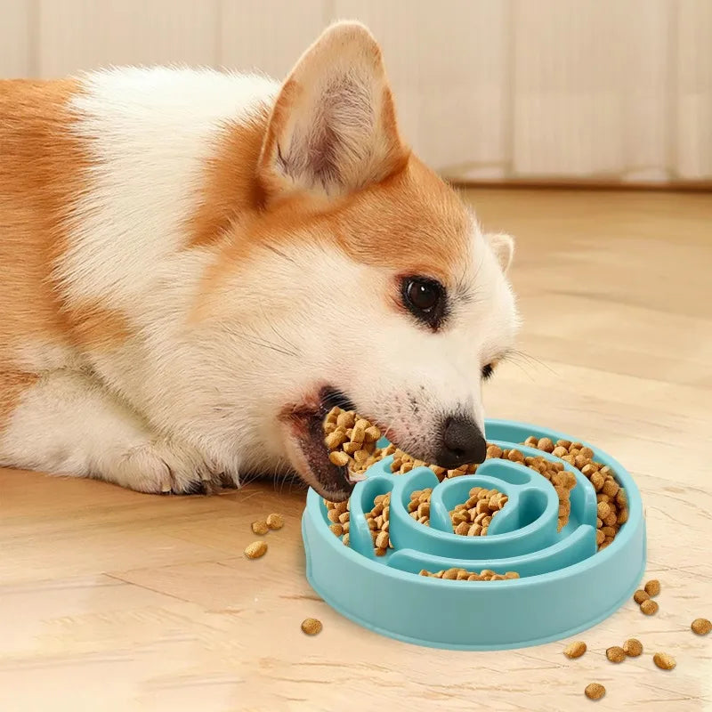 Non-Slip Slow Feeder Bowl for Cats & Dogs