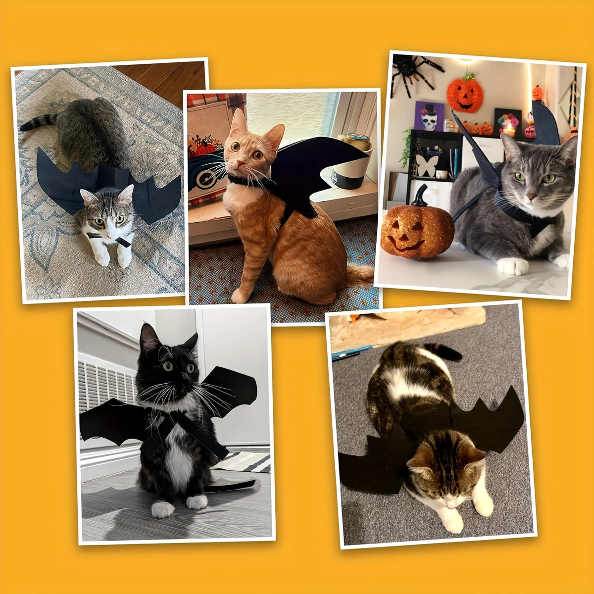 Disfraz de alas de murciélago para gatos y perros de Halloween